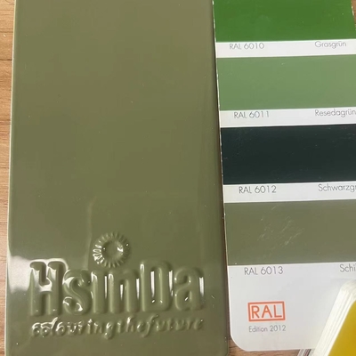 উচ্চ চকচকে Ral 6013 পাউডার লেপ অ্যান্টি-কোরোসিওন ইপোক্সি পলিস্টার পেইন্ট স্প্রে আসবাবপত্র জন্য